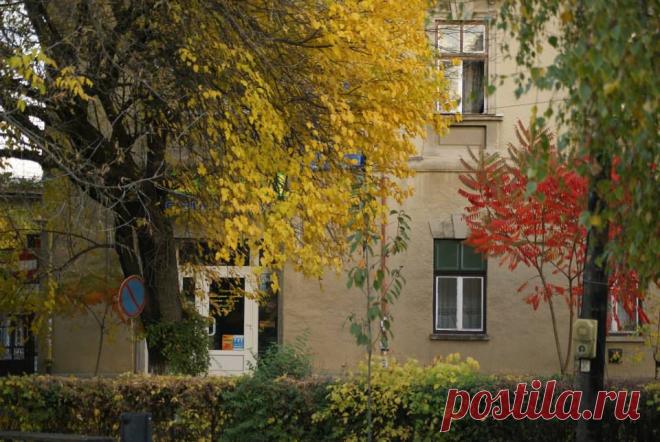 жилой массив