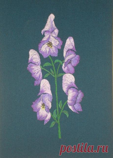 Яндекс.Фотки