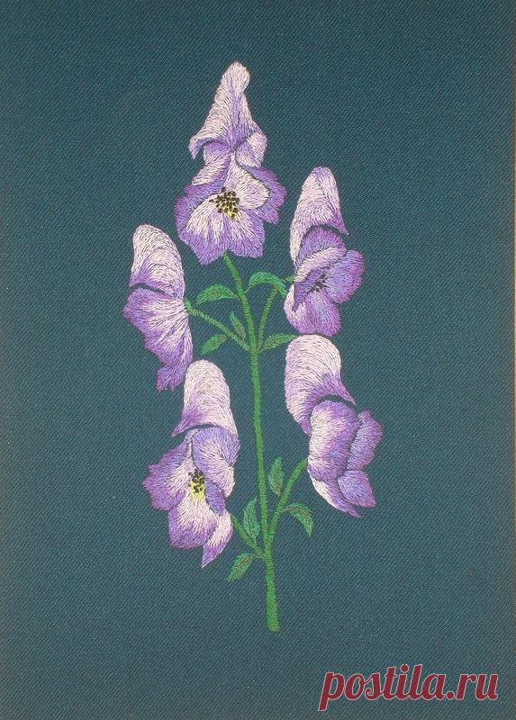 Яндекс.Фотки