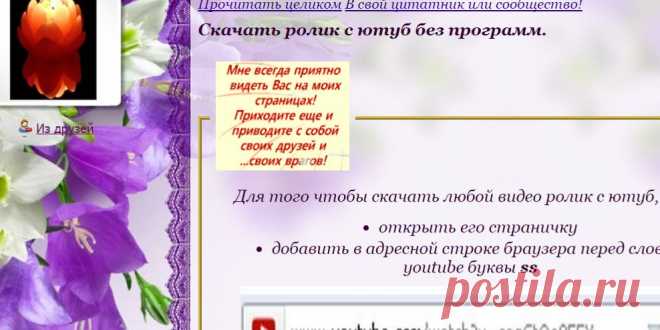 Для дневника
