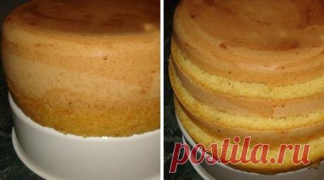 Пышный бисквит: Простой способ, как его приготовить Практически все любят лакомиться бисквитными пирогами и рулетами, но далеко не все хозяйки любят печь бисквит. А все потому, что не всегда удается получить желаемый результат. Познакомьтесь с рецептом, который решит эту проблему раз и навсегда: бисквит всегда будет нежным, пышным и мягким.

Потреб