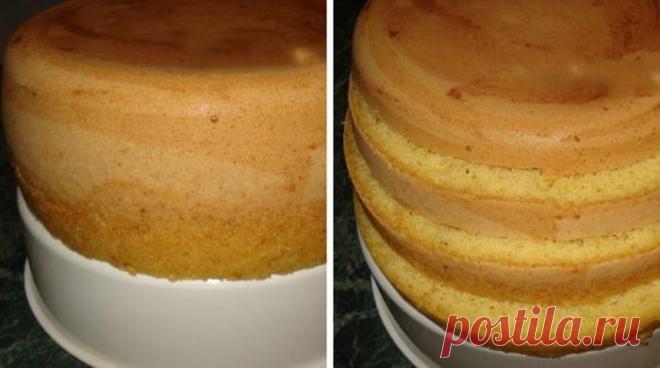 Пышный бисквит: Простой способ, как его приготовить Практически все любят лакомиться бисквитными пирогами и рулетами, но далеко не все хозяйки любят печь бисквит. А все потому, что не всегда удается получить желаемый результат. Познакомьтесь с рецептом, который решит эту проблему раз и навсегда: бисквит всегда будет нежным, пышным и мягким.

Потреб