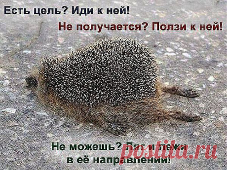 ЭТО ТАК ПРОСТО! СДЕЛАЙ ПЕРВЫЙ ШАГ- ПРИМИ РЕШЕНИЕ !!! ИНВЕСТИРУЙ В СВОИ ЗНАНИЯ СВОЮ ЭНЕРГИЮ ! ХВАТИТ ЖДАТЬ,ЧТО КТО-ТО ЗА ТЕБЯ СДЕЛАЕТ ТВОЮ ЖИЗНЬ СЧАСТЛИВОЙ!  

Курс Начинающего Дистрибьютора.
Стоимость товара: 55 USD