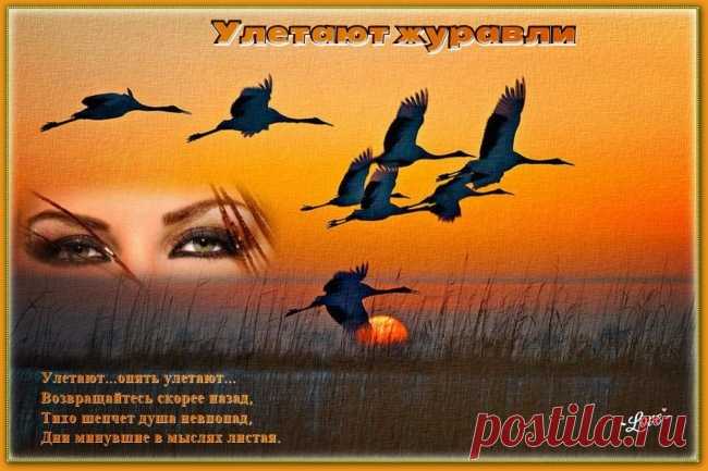 Улетают журавли ~ Стихи (Лирика пейзажная)