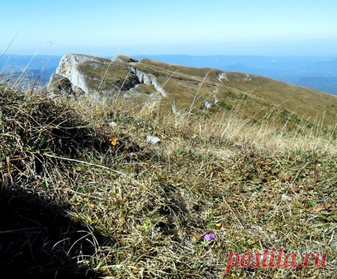Сергей Анатольевич – ФотоКто
