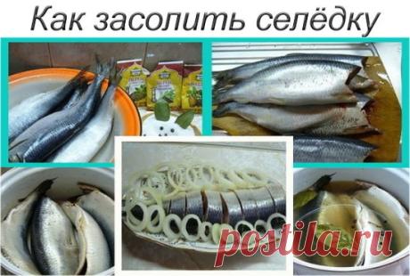 Как засолить селедку 🍴
А какая получается вкуснятина… Больше никогда не покупаю магазинную соленую селедку!
Скажу вам более… этот рецепт великолепно подходит для засолки скумбрии и любой красной рыбы.
Ингредиенты
- сельдь – 1 кг;
- поваренная соль – 6 стол. ложки без горки;
- перец душистый горошком – 10 шт.;
- сахарный песок – 3 стол. ложки;
- лавровый лист – 3-4 шт.;
- вода – 1 литр.
Приготовление
1. Наливаем в кастрюлю воду и доводим ее до кипения.
2. Добавляем к воде сахар
