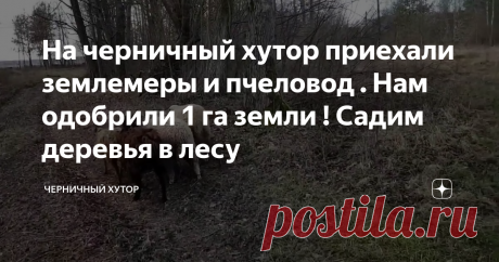На черничный хутор приехали землемеры и пчеловод . Нам одобрили 1 га земли ! Садим деревья в лесу