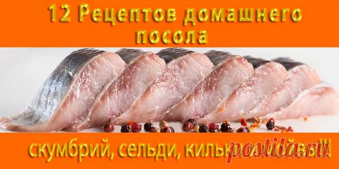 12 Рецептов домашнего посола скумбрий, сельди, кильки и мойвы!! | Полезные советы