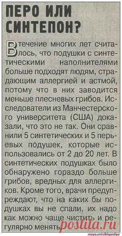 Выбор подушки - синтепон или перо
