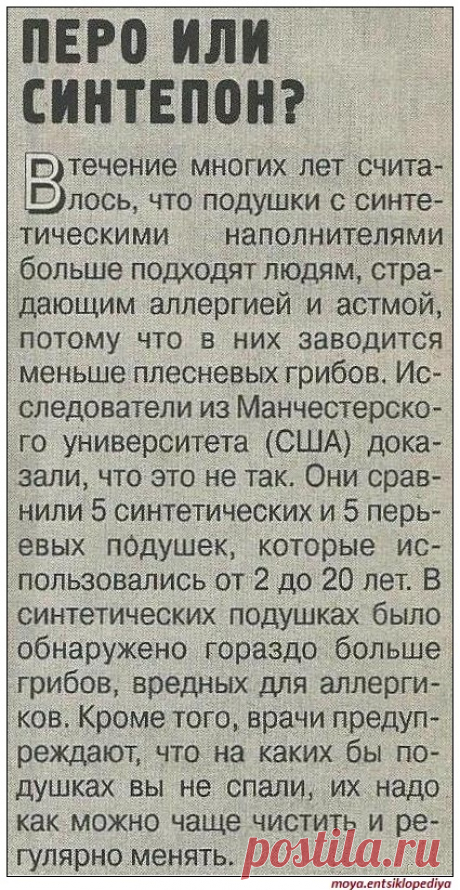 Выбор подушки - синтепон или перо