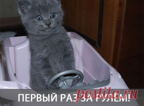 Интересные новости