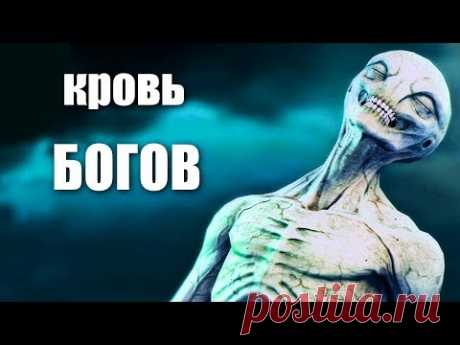 КРОВЬ БОГОВ