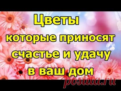 Цветы, которые приносят счастье в ваш дом.