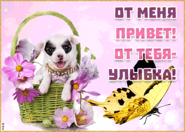 Да и ты, на всякий случай,
Всем приветы отошли.
Будет так намного лучше
И приятней для души!