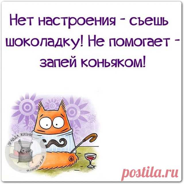 Правда жизни в Instagram: «#правдажизни #юмор #позитив #коньяк» 1,083 отметок «Нравится», 23 комментариев — Правда жизни (@lifeoftrue) в Instagram: «#правдажизни #юмор #позитив #коньяк»