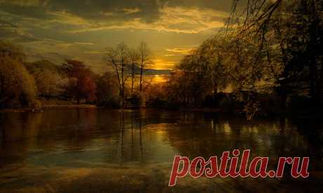 500px / парк Терье Nicolaysen