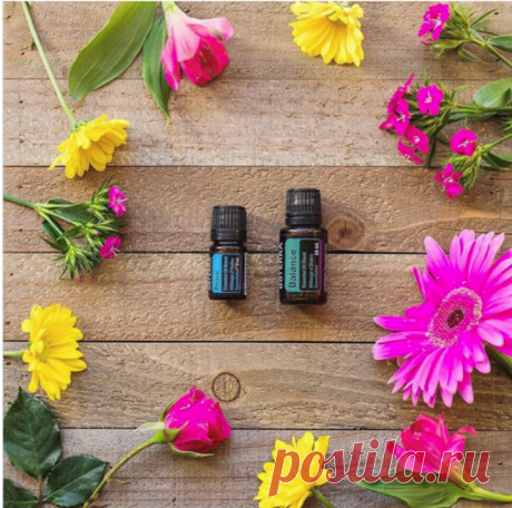 Эфирные масла.

Бесплатный образец эфирного масла dōTERRA On-Guard можно получить, заполнив анкету на сайте.

А образец масла Essential Oils можно заказать тут.