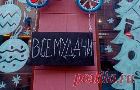 Пообщалась с начальником птицефабрики: вся правда о яйцах | АВРОРА 2 | Дзен