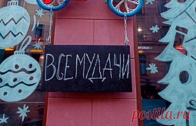 Пообщалась с начальником птицефабрики: вся правда о яйцах | АВРОРА 2 | Дзен