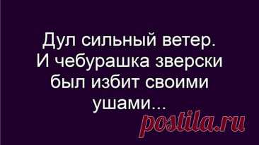 Выпуск №6620 - выпуск анекдотов сайта вокруг смеха