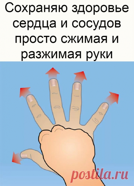 Сохраняю здоровье сердца и сосудов просто сжимая и разжимая руки
