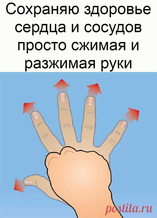Сохраняю здоровье сердца и сосудов просто сжимая и разжимая руки