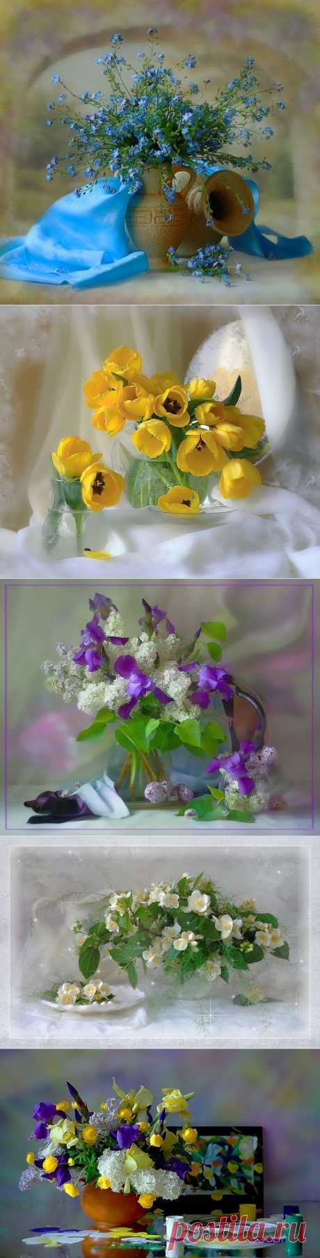 Фотохудожник bakh-mariya