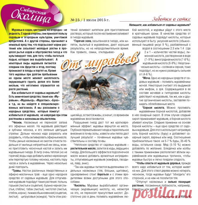От муравьев
