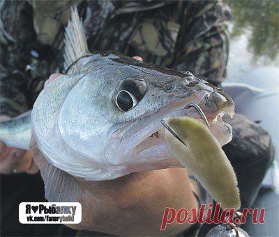 Осенние капризы / Богатая добыча