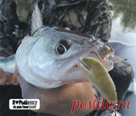 Осенние капризы / Богатая добыча