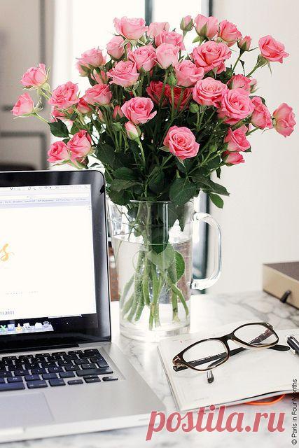 Полная коллекция видео уроков по основным школьным предметам за 1-11 классы | Golbis