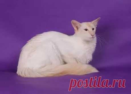 страницы которые создавались константина валерьевича сосницкого краснодар: 10 тыс изображений найдено в Яндекс.Картинках