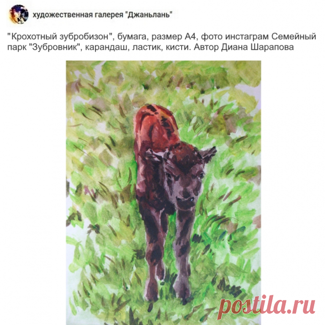 радел "зубробизоны"