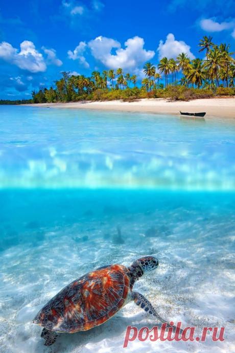Что скрывается под водой… - Фотопанорама