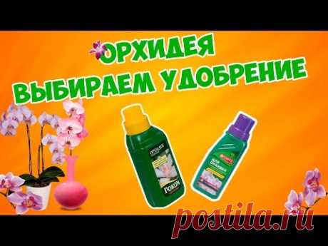 ОРХИДЕЯ как правильно выбрать удобрене - советы хитсад