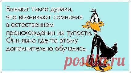 (72) Одноклассники