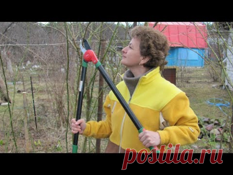 Садовые работы в ноябре