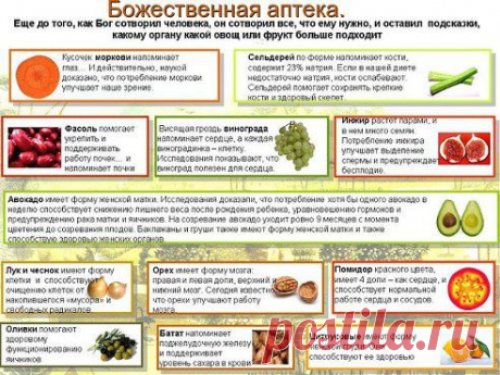 Лекарства из овощей и фруктов и их отходов