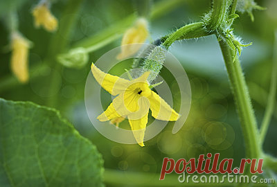 Stock Photos, Royalty-Free Images & Video Footage By Dreamstime Stock Photography