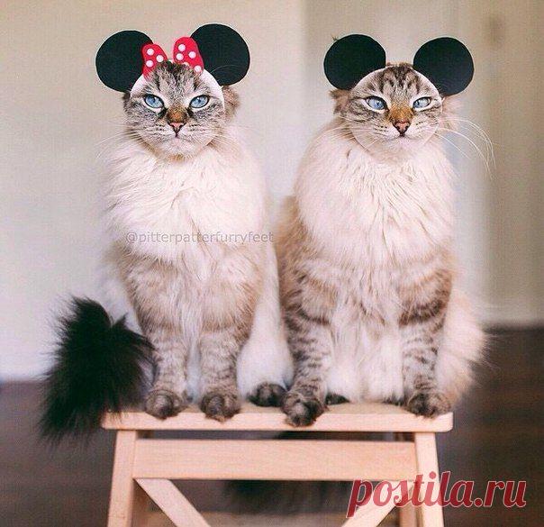 Street Styler | Уличная мода | ВКонтакте