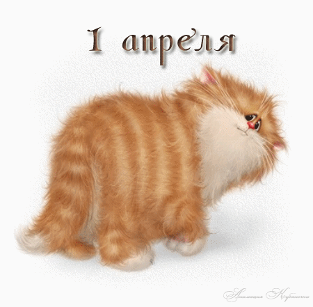 67031876 - День юмора 1 апреля