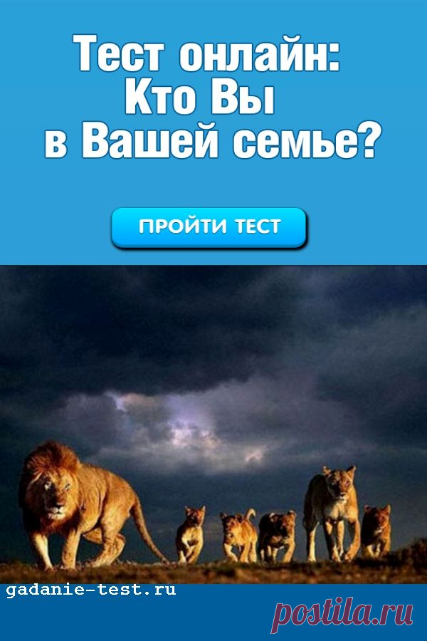 Онлайн тест: Кто Вы в Вашей семье? | СЕКРЕТ
