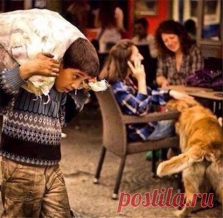 В богатстве много друзей, в бедности нет даже родственников. / Модное Настроение