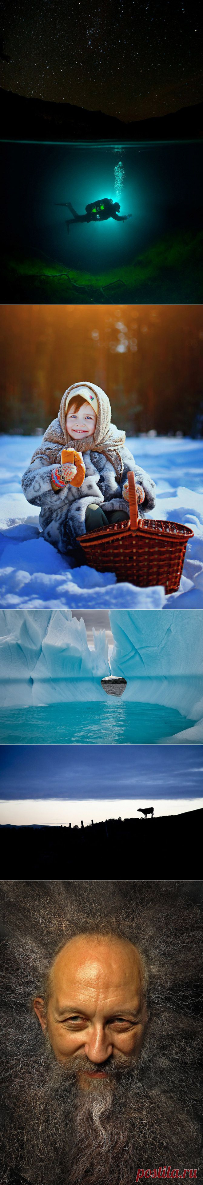 Победители AdMe Photo Awards 2013 | Fresher - Лучшее из Рунета за день