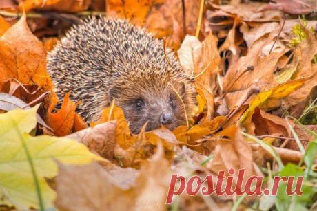 Интересные новости