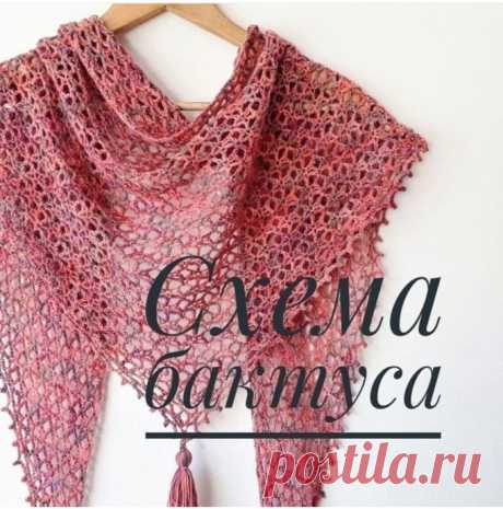 Схема для вязания бактуса крючком