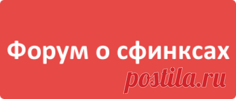 Рецепты кошачьих лакомств. Ватрушки для Мурлыки. Питание кошек. — Донской Сфинкс Крысик