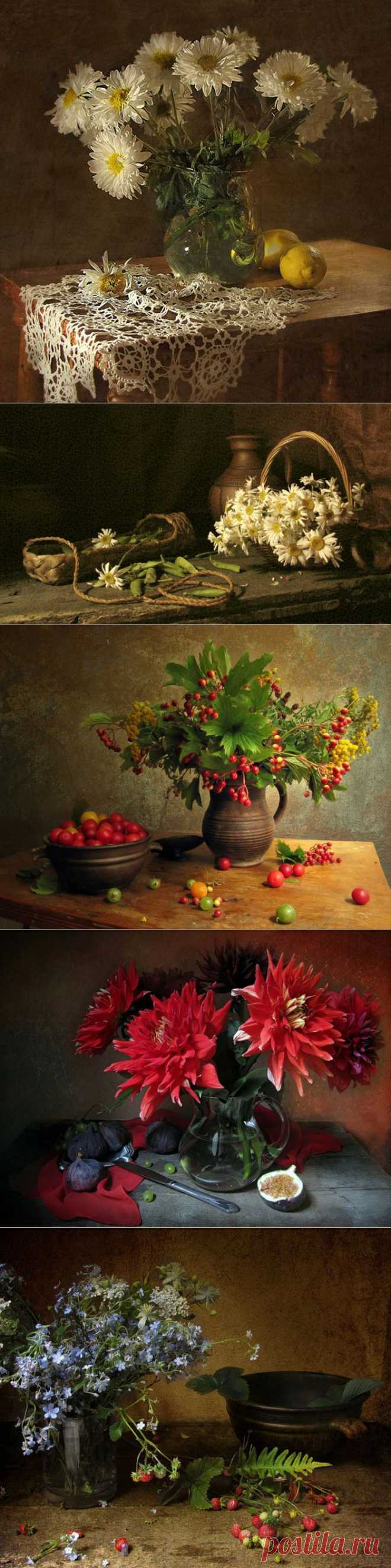 МАРИНА ФИЛАТОВА.