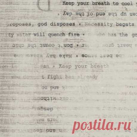 Daily 7046 S 38мм | БЕЛИНТЕРПЛИТ