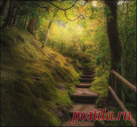 Мой Мир@Mail.Ru